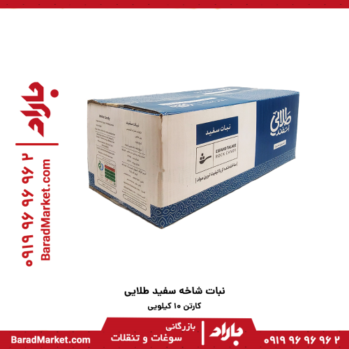 نبات شاخه سفید طلایی